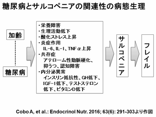 フレイル・サルコペニアと糖尿病・骨訴訟症との関連 - 山下整骨院